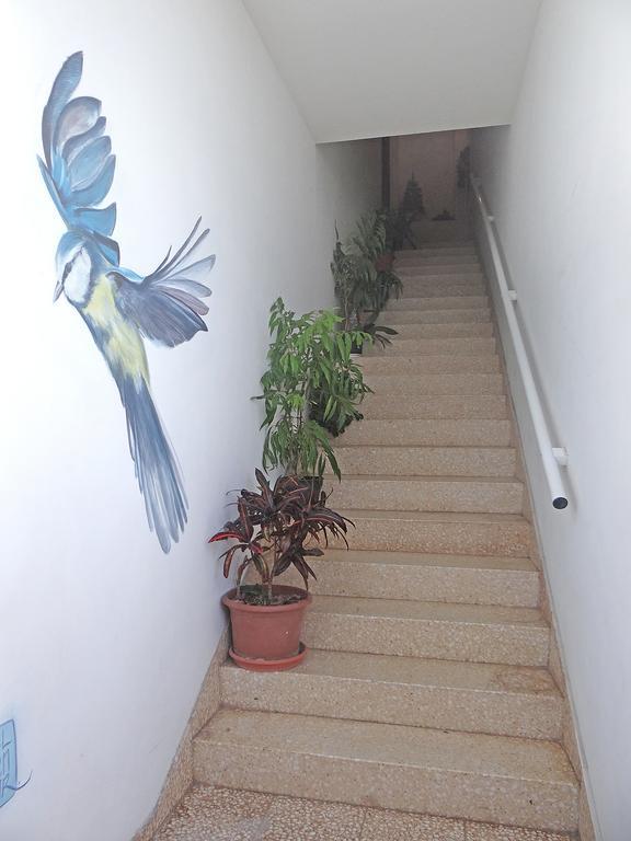 Apartamentos Domínguez Calera Exterior foto